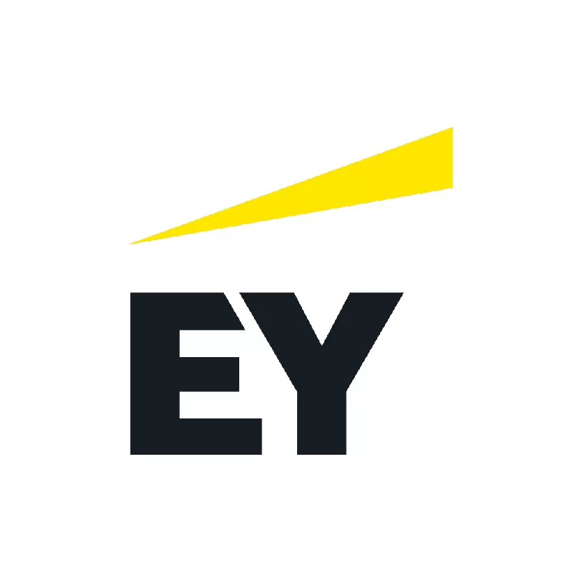 ERNST & YOUNG VIETNAM