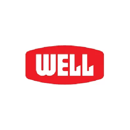 CONG TY TNHH WELL ELECTRONICS ( VIET NAM)