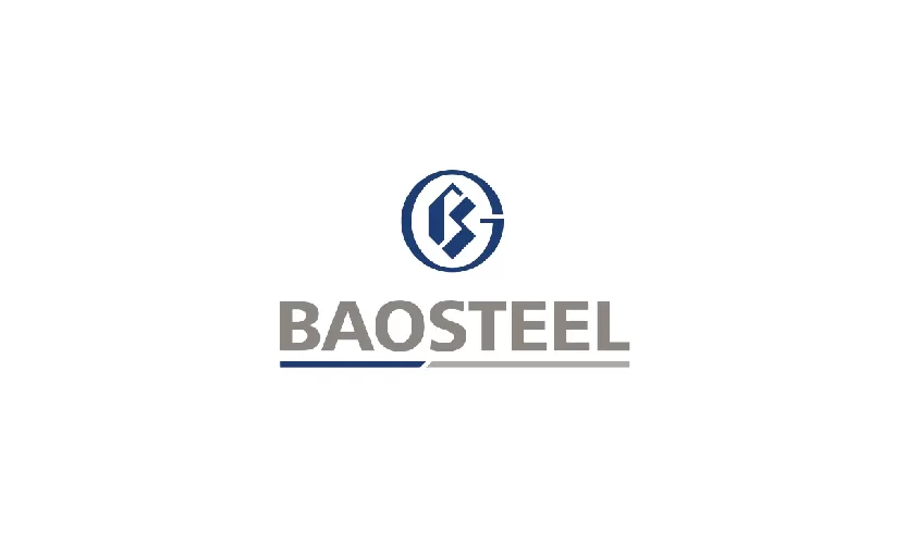 BAOSTEEL SINGAPORE PTE LTD -VPDD TAI TP.HCM