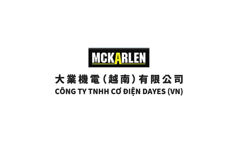 CONG TY TNHH CO DIEN DAYES (VN)