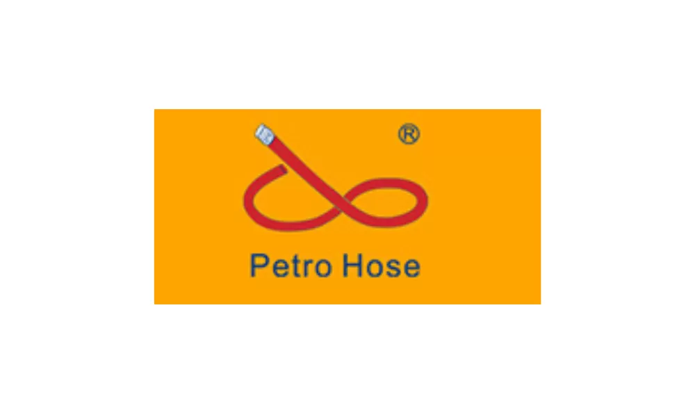 CONG TY TNHH CONG NGHE CHAT LONG PETRO HOSE VIET NAM