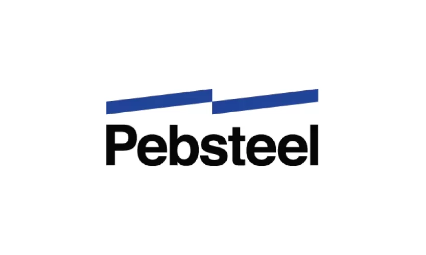 CONG TY TNHH THEP PEB