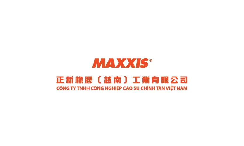 CONG TY TNHH CONG NGHIEP CAO SU CHINH TAN VIET NAM