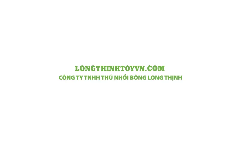 CONG TY TNHH THU NHOI BONG LONG THINH