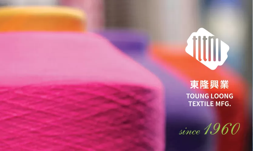 CONG TY TNHH TOUNG LOONG TEXTILE MFG VIET NAM
