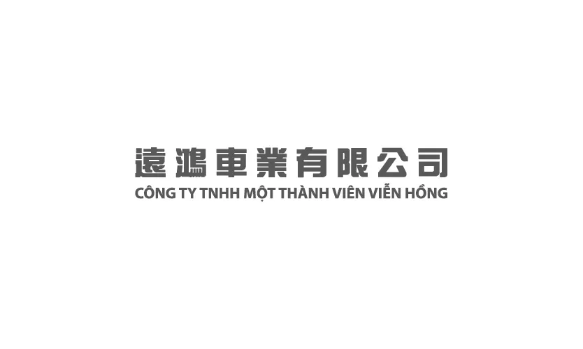 CONG TY TNHH MTV VIEN HONG