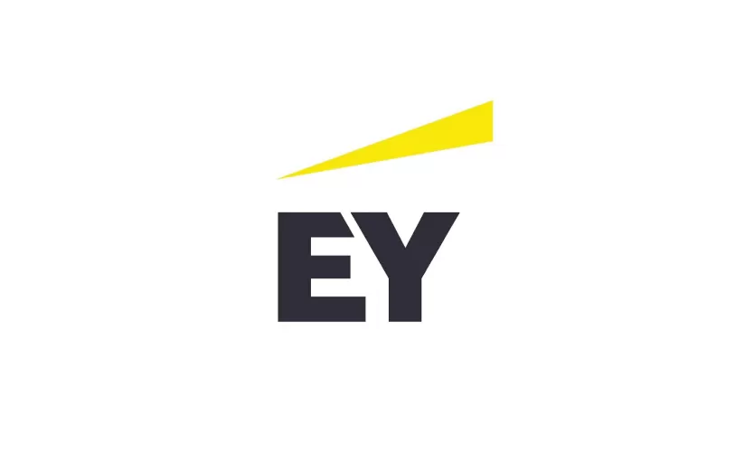 ERNST & YOUNG VIETNAM
