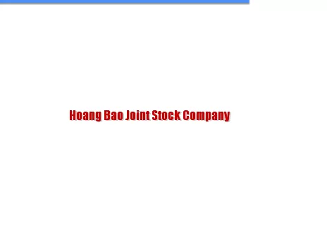 CONG TY CO PHAN HOANG BAO