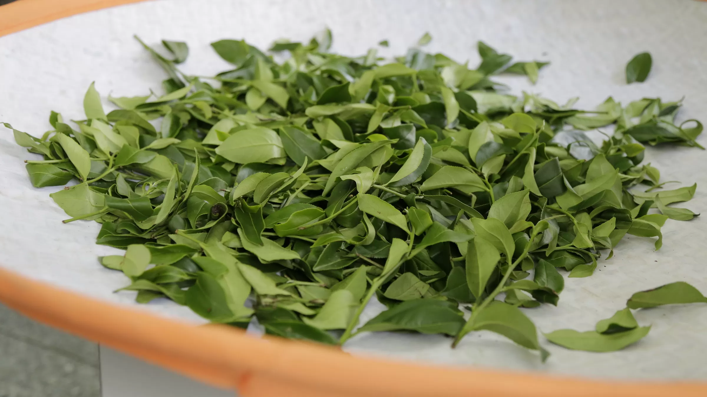 SHUANG YUAN TEA CO.,LTD