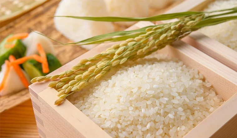 Giá gạo xuất khẩu của Việt Nam, Thái Lan lên mức cao nhất trong hơn một thập kỷ