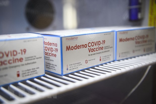 Moderna xin cấp phép vaccine COVID-19 cho trẻ từ 6-11 tuổi ở EU