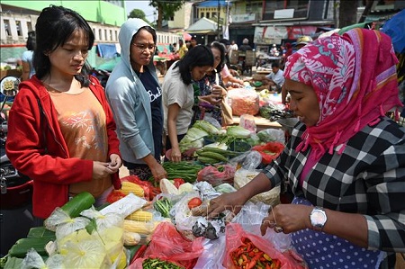 Indonesia: Chuẩn bị chiến lược ứng phó khủng hoảng lương thực, năng lượng