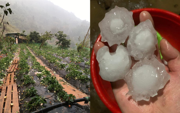 Mưa đá to như quả trứng gà ở Sơn La, nhiều nhà thủng mái