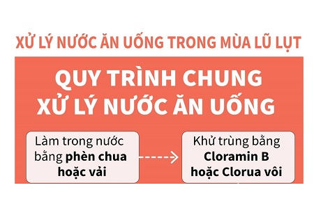 [Infographics] Quy trình chung xử lý nước ăn uống trong mùa lũ lụt