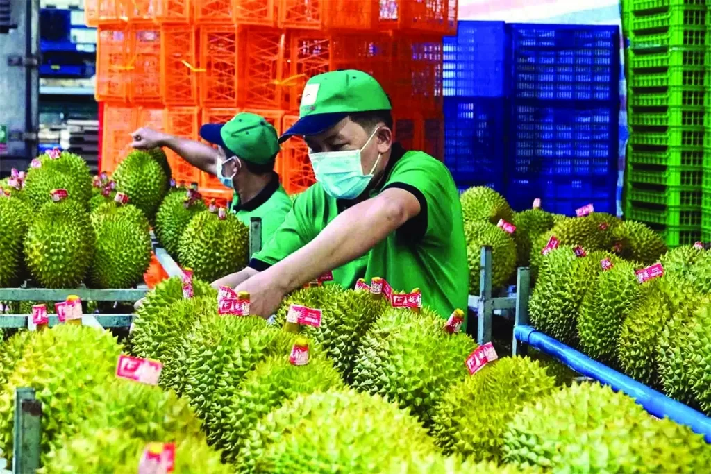 Ngành rau quả Việt Nam đặt mục tiêu xuất khẩu 10 tỷ USD vào năm 2030