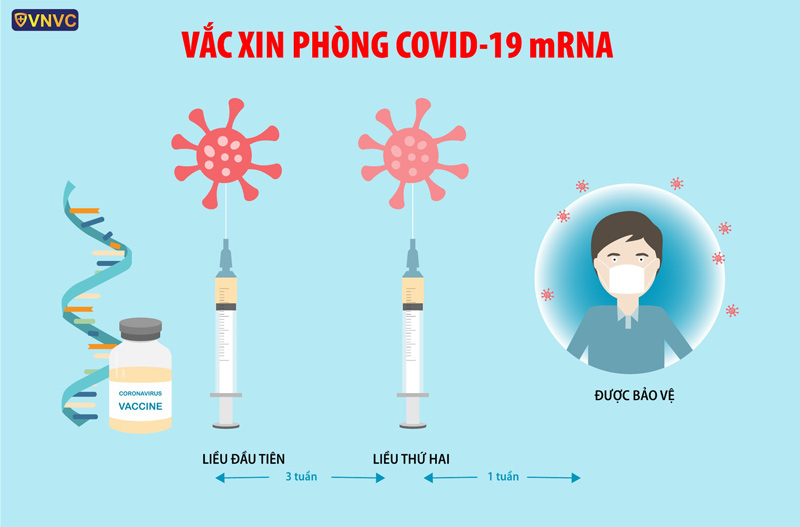 NĂM 2022 TIÊM VẮC XIN COVID-19 CHO TOÀN BỘ DÂN SỐ TỪ 5 TUỔI