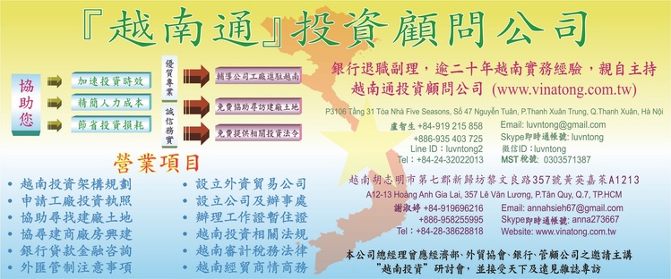 VI NA TONG INVESTMENT CONSULTANTS  LIMITED