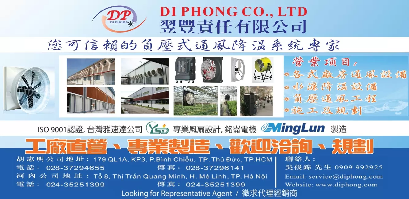CTY TNHH DI PHONG