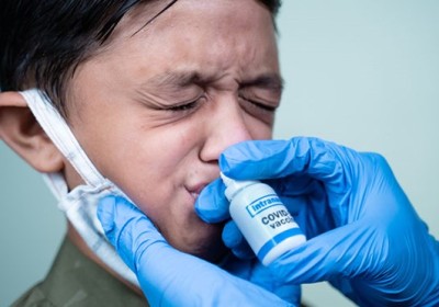 Australia phát triển vaccine ngừa COVID-19 dạng nhỏ mũi