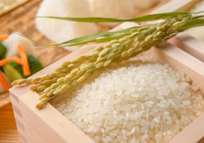 Giá gạo xuất khẩu của Việt Nam, Thái Lan lên mức cao nhất trong hơn một thập kỷ