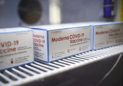 Moderna xin cấp phép vaccine COVID-19 cho trẻ từ 6-11 tuổi ở EU