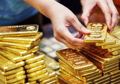 9月24日上午越南國內黃金價格下降30萬越盾