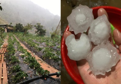 Mưa đá to như quả trứng gà ở Sơn La, nhiều nhà thủng mái