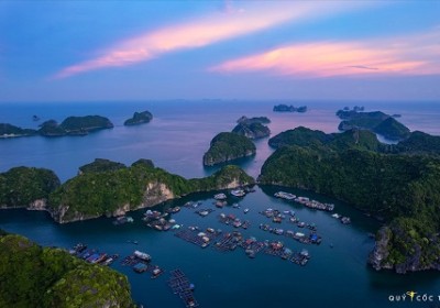 Vịnh Lan Hạ bừng sáng trong ánh nắng mùa hè