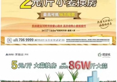Ế ẩm, một nhà buôn bất động sản ở Trung Quốc cho trả tiền mua nhà bằng... tỏi, lúa mì