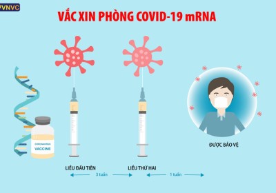 NĂM 2022 TIÊM VẮC XIN COVID-19 CHO TOÀN BỘ DÂN SỐ TỪ 5 TUỔI