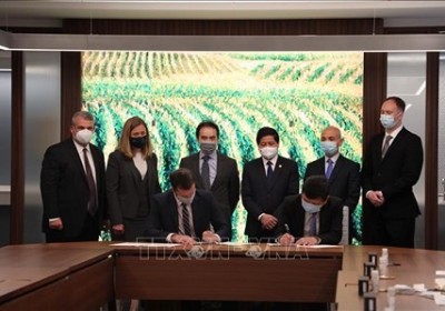 越南與美國加強農業領域合作