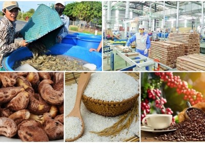 越南農業產品出口出現積極信號