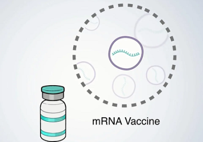 mRNA疫苗易引發心肌炎心包膜炎　法國官方雙確認