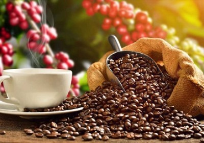 樹立越南咖啡在北歐市場的品牌形象