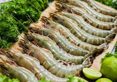 越南虾类对中国台湾的出口额攀升