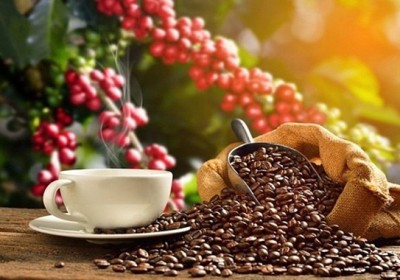 越南是西班牙的主要咖啡供應國