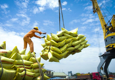 截至9月15日越南大米出口量超600萬噸
