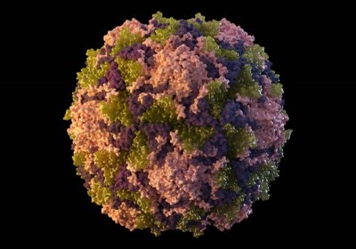 Mỹ phát hiện virus bệnh bại liệt trong nước thải ở thành phố New York