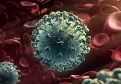 新冠病毒：科學家發現高危基因，常見於南亞人群