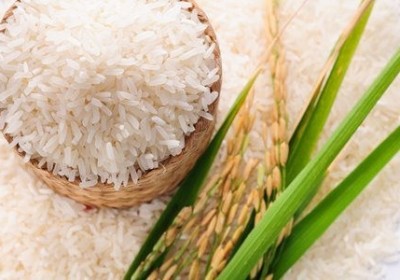 印尼尋求從多個國家進口大米的機會