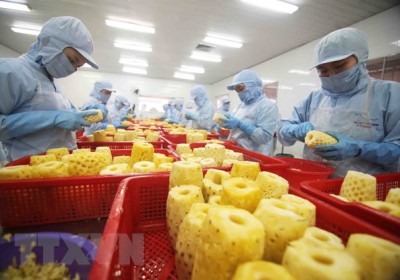 Doanh nghiệp Việt cần tránh lỗi cơ bản khi xuất khẩu vào thị trường EU
