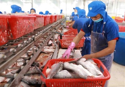 越南與歐盟加強農林水產品的貿易合作