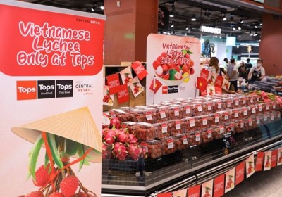 越南荔枝正式在泰國各大超市門店銷售