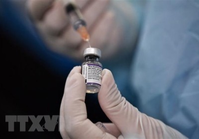 Pfizer nâng dự báo doanh thu vaccine ngừa COVID-19 lên 36 tỷ USD