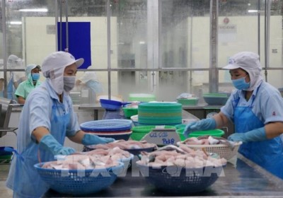 越南新增23家水產品出口企業獲批出口中國