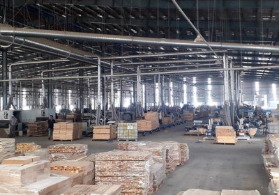 越南木材企業尋找措施應對俄烏緊張局勢的影響