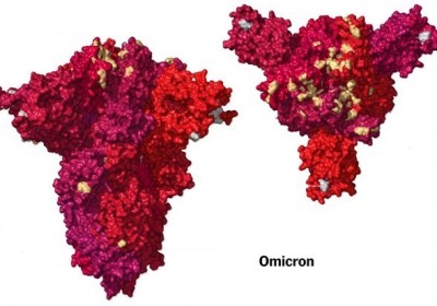 Thực tế dịch tễ tại Nam Phi cho thấy Omicron không gây bệnh nặng
